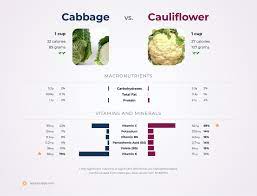 Calories nutrition calories in 1, 2, 3 or more. Nutrition Comparison Cauliflower Vs Cabbage