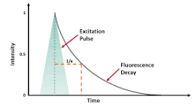 What is Fluorescence Lifetime? - Edinburgh Instruments