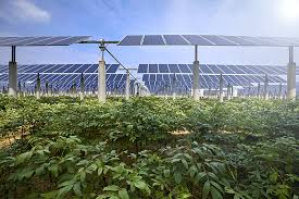 Two 100 kw wind turbines. Growing In The Shade Of Solar Power Engie Laborelec