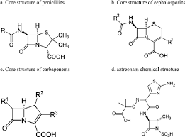 Chemical Structures Of Beta Lactam And Monobactam