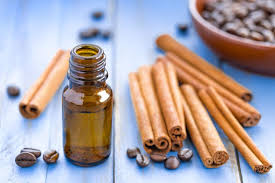 Ikuti artikel ini untuk mengetahuinya dengan lebih lanjut. 10 Manfaat Efek Samping Cinnamon Essential Oil Minyak Kayu Manis Produk Bisnis Young Living Essential Oils Indonesia