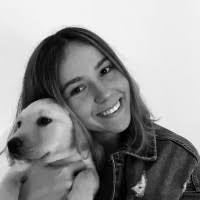 1000+ "Ardeleanu" profiles