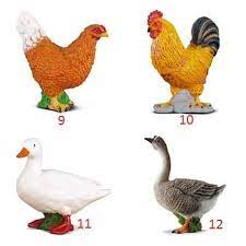 Bebek umumnya adalah burung akuatik yang sebagian besar berukuran lebih kecil dibandingkan kerabatnya, angsa dan angsa berleher. Jual Diskon Miniatur Mainan Binatang Mb Ternak Ayam Jago Angsa Bebek Hewan Unggas Di Lapak Funfuny Store Bukalapak