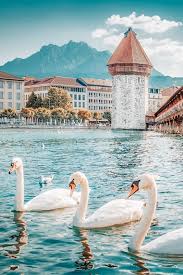 Feel free to submit links or write in english, german, french or italian. 2 Days In Switzerland Itinerary 9 Epic Samples Tosomeplacenew