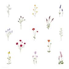 Download Premium Vector Of Wild Flower Vectors 4279 Flower Drawing Simple Flower Drawing Wildflower Tattoo