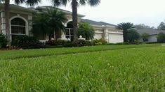 East coast pest control fertilization was established to provide. Evergreen Lawn Pest Control Evergreenlawnpestcontrol Profile Pinterest