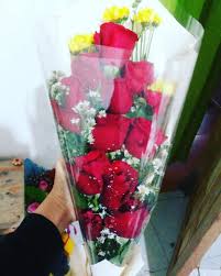Gambar bunga mawar yang satu ini memang sangat sesuai dengan namanya yaitu warna merah darah. Pringsewuflorist On Instagram 210k Mawar Bungamawar Bungamurah Aster Buckets Rangkaianbungasegar Rangkaianbunga Pringsew Aster Bunga Bunga Murah