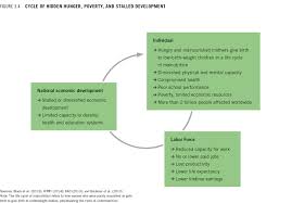 Chapter 3 Addressing The Challenge Of Hidden Hunger