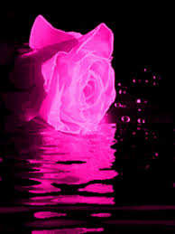 Pink floyd the wall flowers scene hd. Flower Pink Rose Gifs Tenor