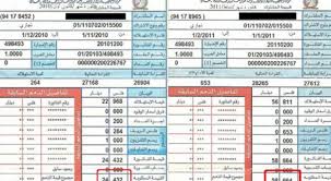 حماية المستهلك تطالب شركة الكهرباء بالكشف عن الأسباب الحقيقية لارتفاع فواتير الكهرباء رؤيا الإخباري
