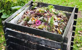 Gartenratgeber.net ist der ratgeber rund um das thema garten und pflanzen. Der Garten Ratgeber Alles Fur Den Gartenfreund