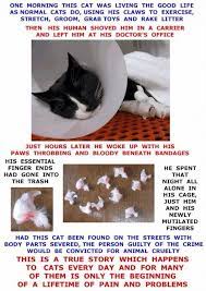 This Is What Evil Vets Are Doing To Your Cat Stop Them Cats Happy Animals Cat Vet
