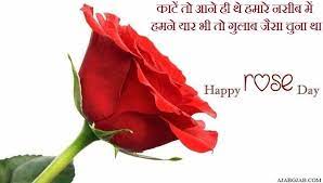 Rose Day Shayari In Hindi Rose Day Shayari Rose Shayari In Hindi