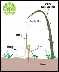 How To Build A Small Game Snare The Art Of Manliness Survival Skills Survival Survival Tips