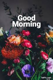 Check spelling or type a new query. 35 Best Good Morning Flowers Images Tailpic