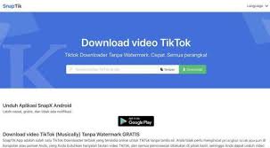 Tiktok việt nam cũng rất đáng yêu đó chứ. Panduan Download Video Tiktok Tanpa Watermark Bisa Di Hp Dan Laptop Pc