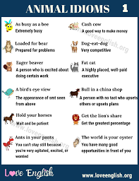 Animal Idioms 20 Interesting Animal Idioms With Meanings Love English In 2020 Idioms Idioms And Phrases Idiomatic Expressions