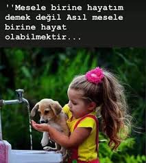 Ysk Adli Kullanicinin Guzel Sozler Panosundaki Pin 2020 Guzel Soz Resimli Alintilar Ilham Veren Sozler