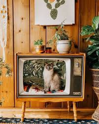 Eski Televizyonlar Kedi Yatagi Oldu Bigumigu 2020 Bohem Dekor Vintage Tv Kedi