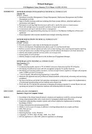 Professional consultant resume examples & guide for 2021. Servicenow Resume