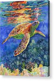 Turtle Reflections Acrylic Print By Hailey E Herrera Turtle Painting Sea Turtle Painting Sea Turtle Art