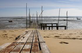 Photo De Lege Cap Ferret La Presqu Ile Du Bassin D Arcachon Humanscanzone Decouvrez D Autres Photos De La Ville De Leg Bassin D Arcachon Arcachon Cap Ferret