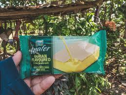 Ice cream hipster malaysia viral 5 flavour. Aiskrim Durian Menyesal Try