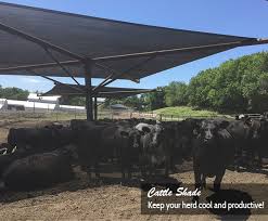 Maybe you would like to learn more about one of these? Cattle Shade Taimei Outdoor Fabric Manufacturer