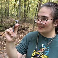 Michigan State Bird Observatory Daily Update