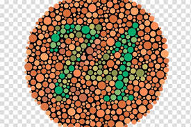 Color Blindness Ishihara Test Color Vision Visual System