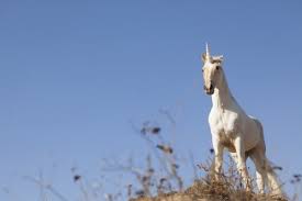 Check spelling or type a new query. Kuda Poni Asli Bertanduk