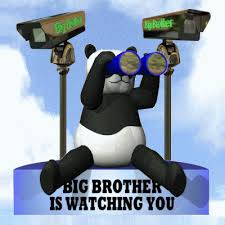 Big brother is watching you, (orwell 3). Big Brother Is Watching You Gifs Get The Best Gif On Giphy
