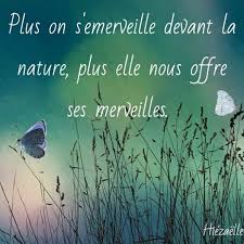 Bien sûr, notre façon de travailler dépend de la nature de l'objectif et nous resterons réalistes et flexibles en ce qui concerne le plan. Nature Citation Proverbe Quote Motivation Inspiration Sylvie Nguyen Citation Inspiration Moti Nature Quotes Positive Quotes Motivation Peace Quotes