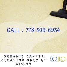 Organic Carpet Cleaning 19 99 How To Clean Carpet Rug Cleaner Carpet Cleaning Service