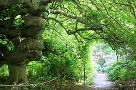 Jedes jahr wird der garten von mehr als. 10 Things To Do In Munich This Summer The Official Website Of The City Of Munich