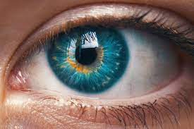 A pupil is one under the close supervision of a teacher, either because of youth or of. Your Eyes Can Reveal If You Ve Suffered A Traumatic Experience In The Past