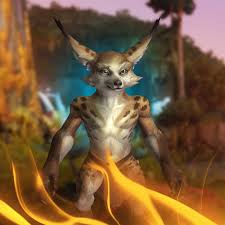 A quick guide to each step required to unlock the vulpera allied race in world of warcraft: Eu Vulpera Attunement 99 99