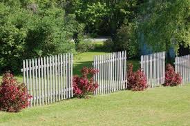 Beautiful landscaping ideas to border your fence. Fence Line Landscaping Ideas For Creative Homeowners