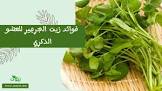 زيوت