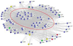 Land Free Full Text The Importance Of Network Position In The Diffusion Of Agricultural Innovations In Smallholders Of Dual Purpose Cattle In Mexico Html
