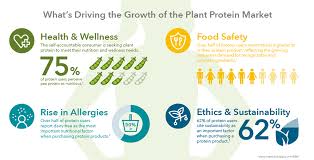The most common metabolic type is the fat and protein efficient metabolism. Nutrition Benefits Of Plant Protein Kerry Health And Nutrition Institute