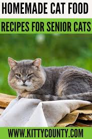 Homemade cat treats are fun, easy and inexpensive to make! Homemade Cat Food Recipes For Senior Cats Kitty County Homemade Cat Food Senior Cat Homemade Cat