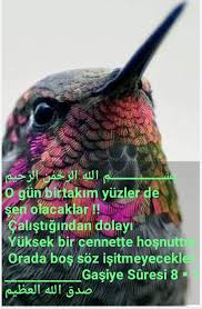 Nilya Adli Kullanicinin Allah O Tek O Bir Panosundaki Pin Dualar Guzel Soz Kitap