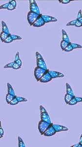 See more ideas about butterfly wallpaper, butterfly wallpaper iphone, blue butterfly wallpaper. Butterflies In 2021 Blue Butterfly Wallpaper Butterfly Wallpaper Backgrounds Purple Butterfly Wallpaper