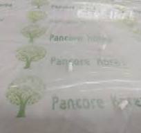 0200-35611 SCREW LID LINER TXZ | Pancore Korea