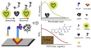 When i start creating a. Nanobody Alkaline Phosphatase Fusion Mediated Phosphate Triggered Fluorescence Immunoassay For Ochratoxin A Detection Sciencedirect