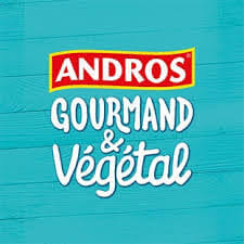 Madeleines Sans Lactose Andros Gourmand Et Vegetal