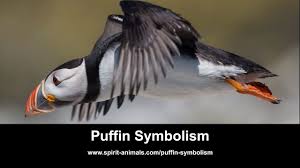 Download Wasp Symbolism Dreams And Messages Spirit Animal Totems