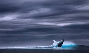 Biggest thing in the world. Top 10 Biggest Things In The World