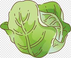 Check spelling or type a new query. Ilustrasi Kartun Kubis Sayuran Unsur Kubis Makanan Daun Bertulang Belakang Png Pngwing